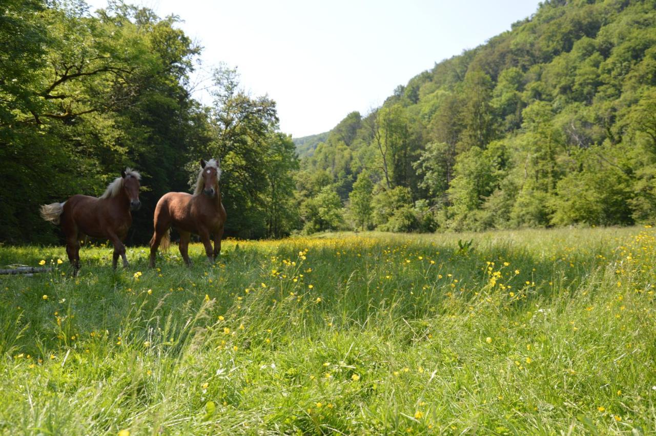 Bed and Breakfast Moulin De La Cuse - L'Ilote Cusance Екстер'єр фото